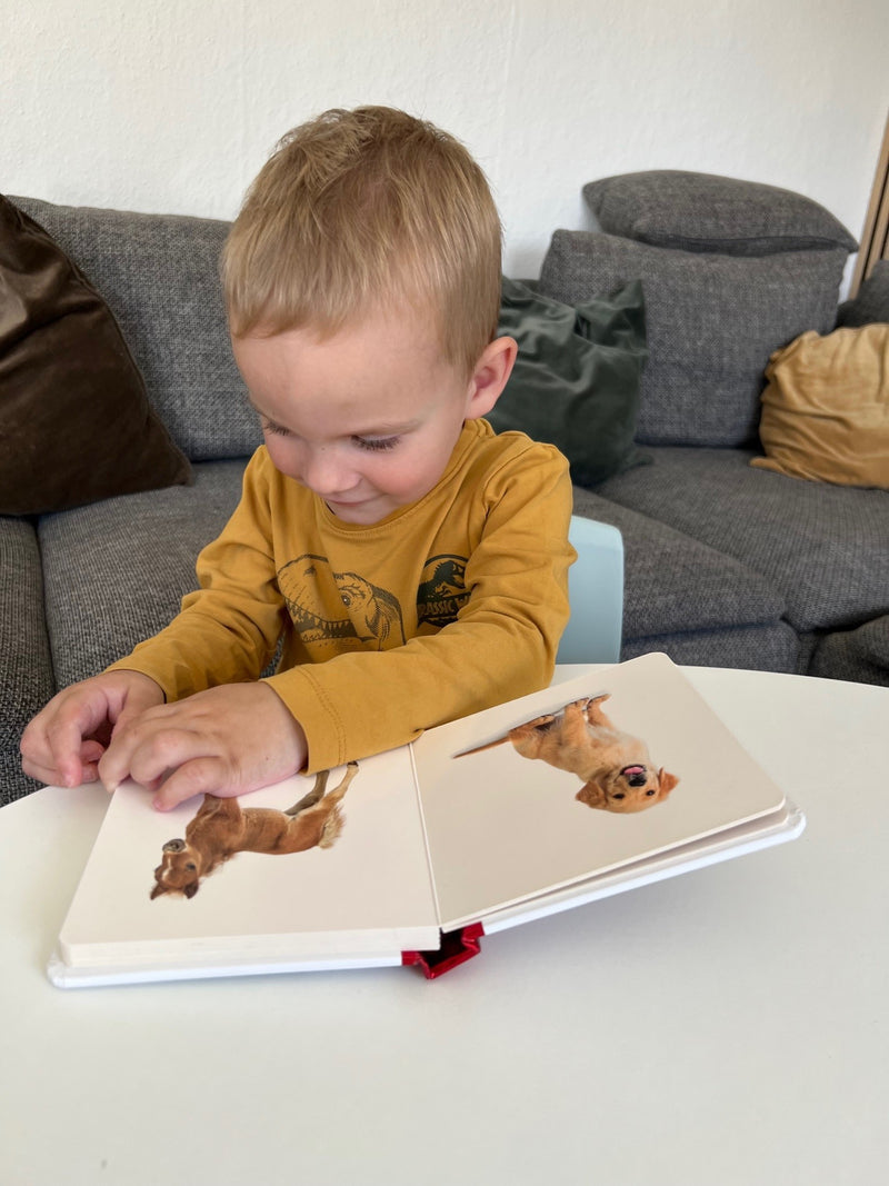 Min lille bog om Dyrebørn - Børnebog