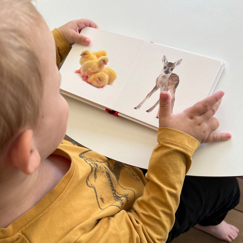 Min lille bog om Dyrebørn - Børnebog