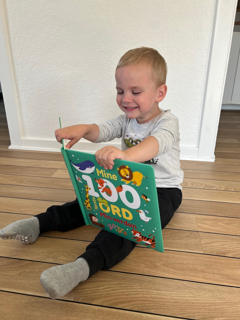 Mine 100 første ord - Min verden - Børnebog