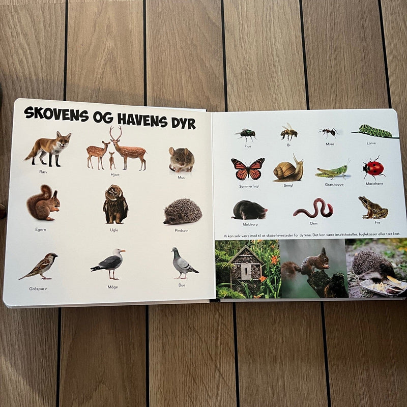 Mine 100 første seje dyr - Børnebog