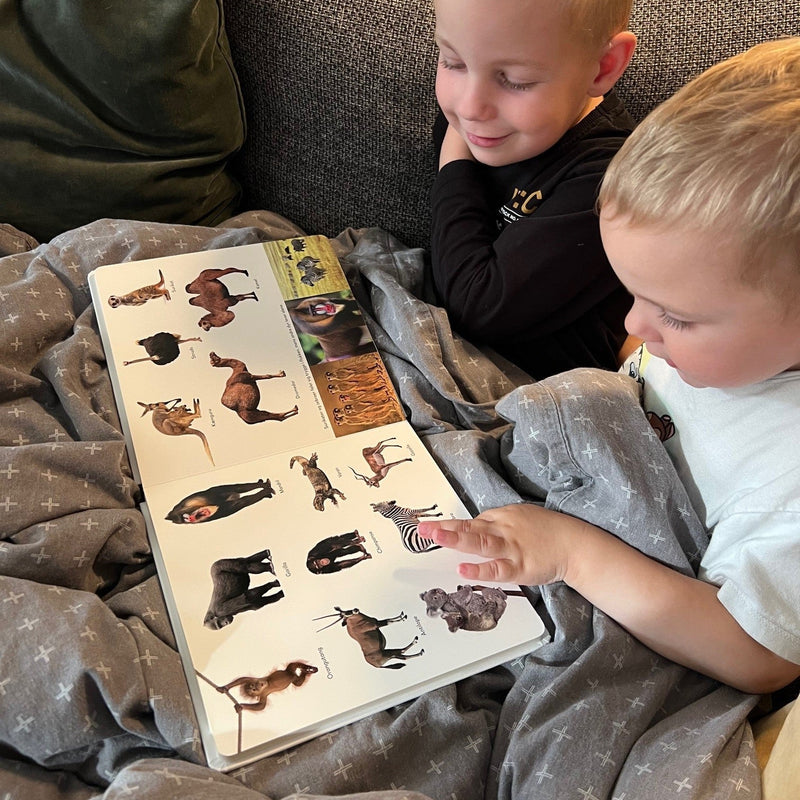 Mine 100 første seje dyr - Børnebog