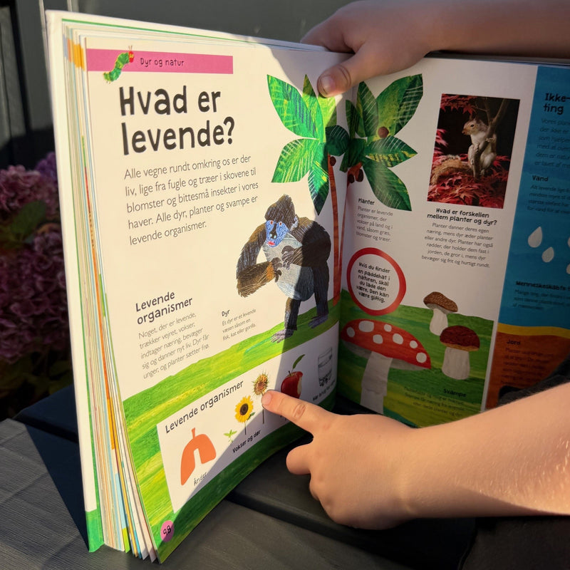 Mit allerførste leksikon - Børnebog