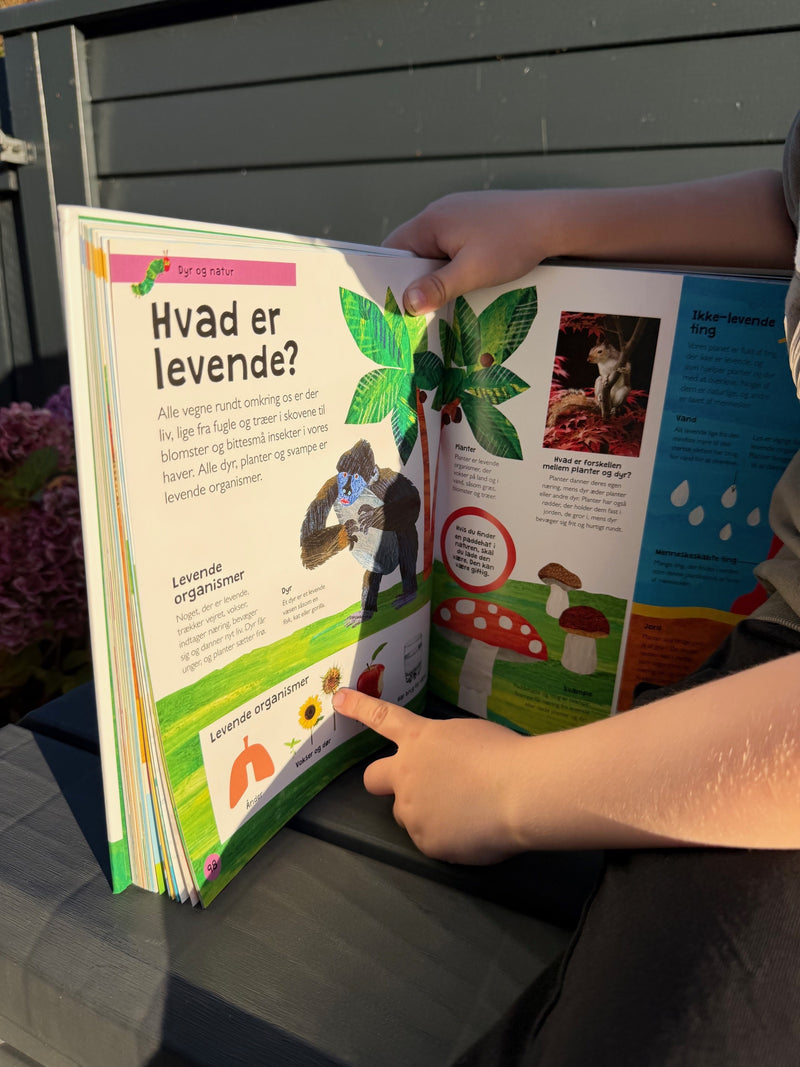 Mit allerførste leksikon - Børnebog