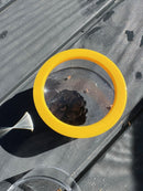 Regnbue Forstørrelsesdåser - 6 stk - 3 x Zoom - TickiT - Fra 3 år.