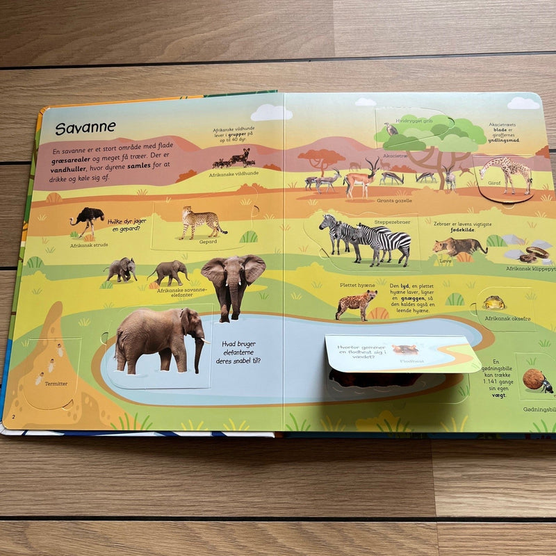 Viden i børnehøjde - Dyr fra hele verden - Børnebog