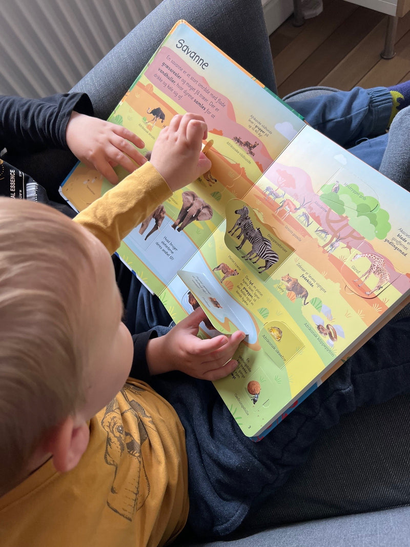 Viden i børnehøjde - Dyr fra hele verden - Børnebog