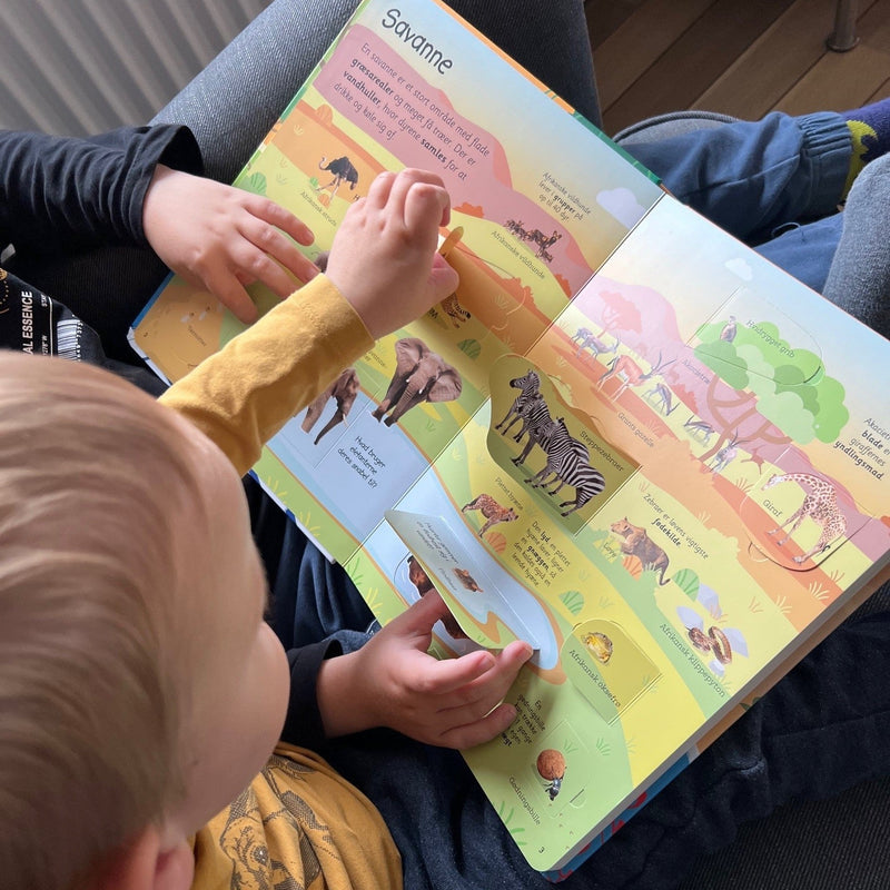 Viden i børnehøjde - Dyr fra hele verden - Børnebog