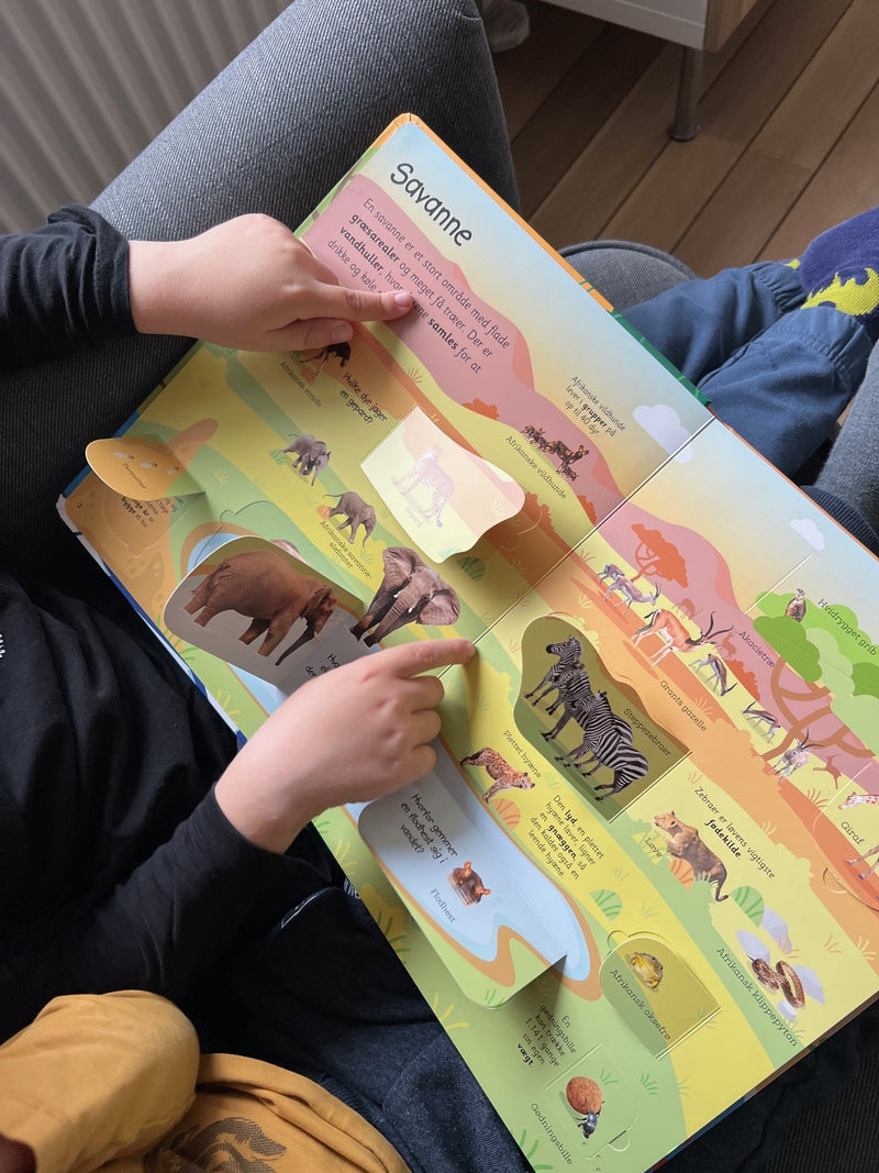 Viden i børnehøjde - Dyr fra hele verden - Børnebog