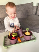 Green Garden Drivhus-sæt - Svanemærket Plast - Dantoy - 15 dele. - Billede 1