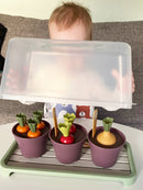 Green Garden Drivhus-sæt - Svanemærket Plast - Dantoy - 15 dele. - Billede 1