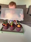 Green Garden Planteskolesæt - Svanemærket plast - Dantoy - 54 dele. - Billede 1