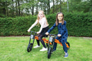 Zippl Cykel 2 medium - 3-6 år. - Billede 1