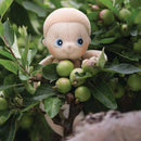 Rubens Barn - Ecobuds Økologisk Dukke - Aspen - Fra 0 år. - Billede 1