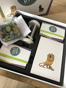 Vild Med Dyr quiz-brætspil fra Game Inventors - Fra 7 år - Billede 1