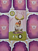 Equinox Nordic - Lilla Udgave - Asmodee - Fra 10 år - Billede 1