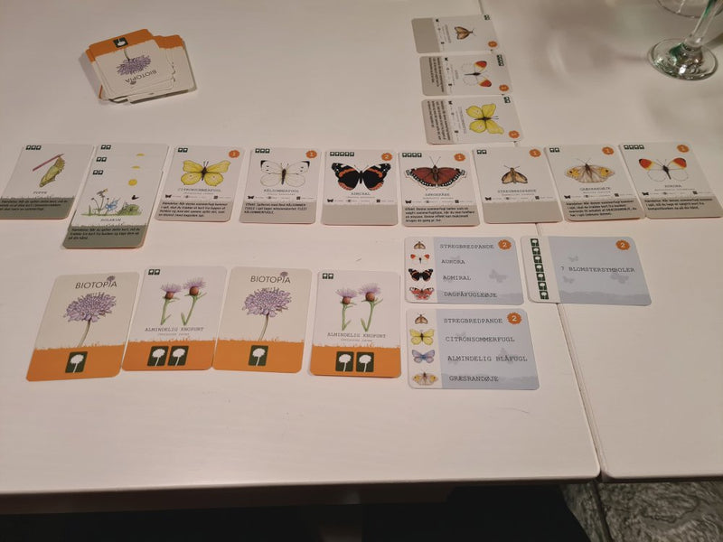 Biotopia familie-kortspil om sommerfugle - Asmodee - Fra 10 år. - Billede 1