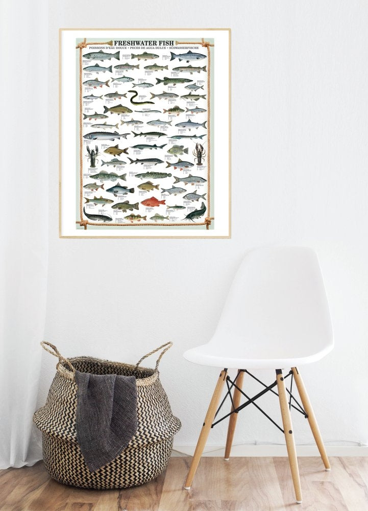 Plakat: Freshwater fish - Str. 60x90 cm. - Billede 1