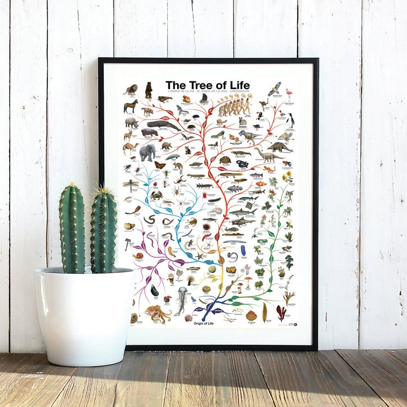 Plakat: The Tree of Life - Str. 60x90 cm. - Billede 1