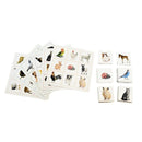 Billedlotteri med dyr for 2-4 spillere - GA-Toys - Fra 3 år. - Billede 1