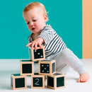 Freckled Frog - Terninger i FSC-træ med tavlemaling - 6 stk - Fra 1 år. - Billede 1