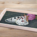 Hama Art midi Sommerfugl - 14+ - Billede 1