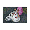 Hama Art midi Sommerfugl - 14+ - Billede 1