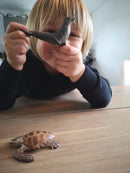 Dyr - Havets Dyr fra Papo - 9 stk. - Billede 1