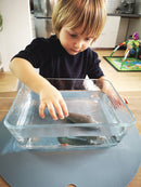 Dyr - Havets Dyr fra Papo - 9 stk. - Billede 1