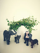 Dyr - Vilde Dyr fra Papo - 24 stk. - Billede 1