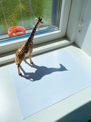 Dyr - Vilde Dyr fra Papo - 24 stk. - Billede 1