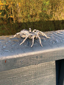 Dyr - Krybdyr fra Papo - 7 stk. - Billede 1