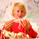 4M KidzLabs Dinosaur - Tyrannosaurus Rex - Fra 8 år - Billede 1