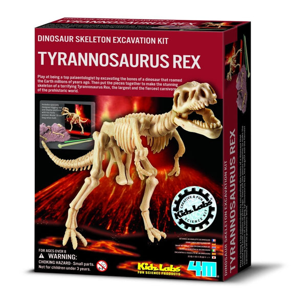 4M KidzLabs Dinosaur - Tyrannosaurus Rex - Fra 8 år - Billede 1