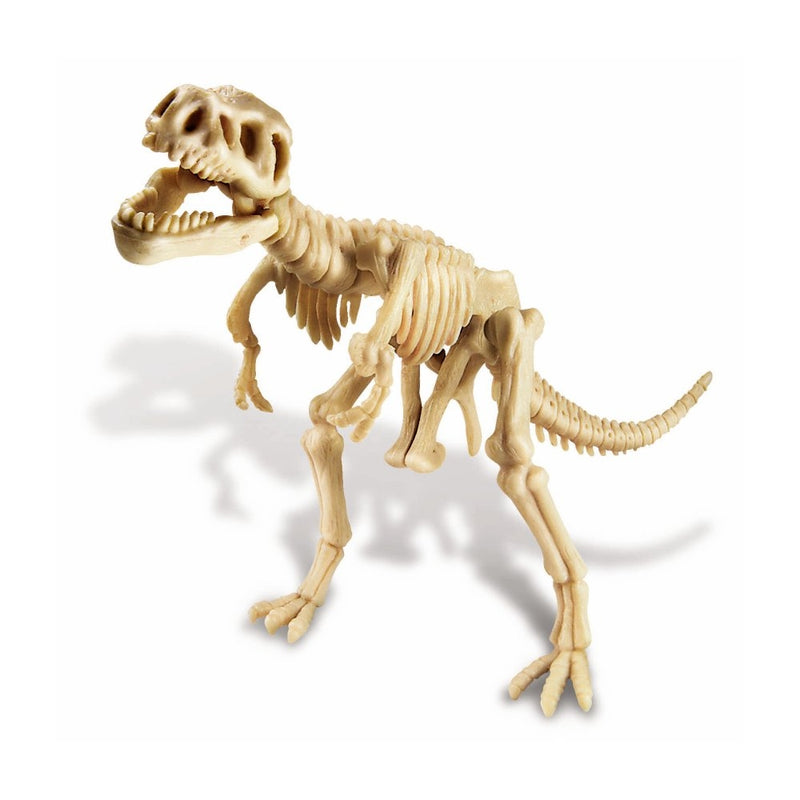 4M KidzLabs Dinosaur - Tyrannosaurus Rex - Fra 8 år - Billede 1