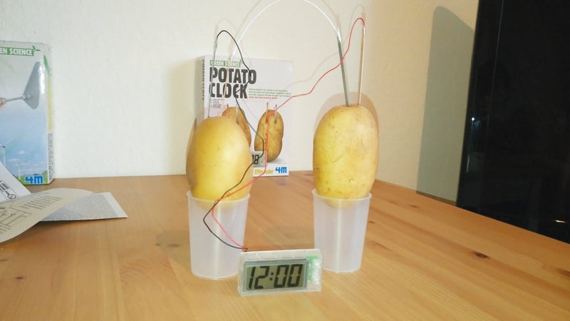 4M Green Science - Kartoffel-ur - Fra 8 år - Billede 1