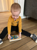 Puslespil fra Goki - Fisk med 4 lag - 11 Brikker.