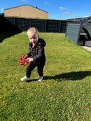 Spordas Gribebold - Naturgummi - Ø15 cm - Ass. farve - 1 stk.