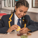 Mikroskopsæt Easi Rainbow - 43 x - 6 stk - Billede 1