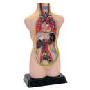 Anatomisæt med 11 dele i halv skala - Edu-Qi - Fra 8 år. - Billede 1