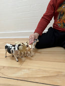 Dyr - Kofamilie fra Papo - 4 stk.