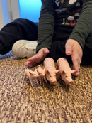 Dyr - Grisefamilie fra Papo - 4 stk.