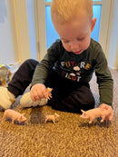 Dyr - Grisefamilie fra Papo - 4 stk.