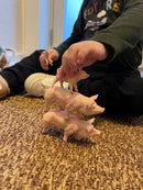 Dyr - Grisefamilie fra Papo - 4 stk.