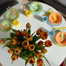 Vikingtoys ECOline spisesæt - 24 dele - BIOplast - fra 12 mdr