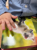 Bog, Rør og føl - Søde dyr