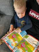 Bog, Fakta-aktivitetsbog: Dinosaurer