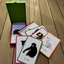 Lege-lære-kort: DYR - Fra 1-5 år