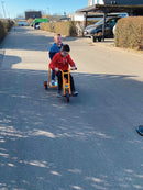 Andreu Roman Chariot Trike trehjulet cykel 3-7 år - Billede 1