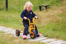 RABO Cykel 1 - Trehjulet Cykel - Fra 1-4 år. - Billede 1