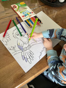 Malehæfte - Vilde dyr - 16 sider